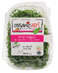 Arugula, Organic Baby